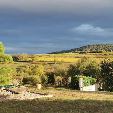 Studio Spacieux, Route Des Vins Rosheim Luaran gambar